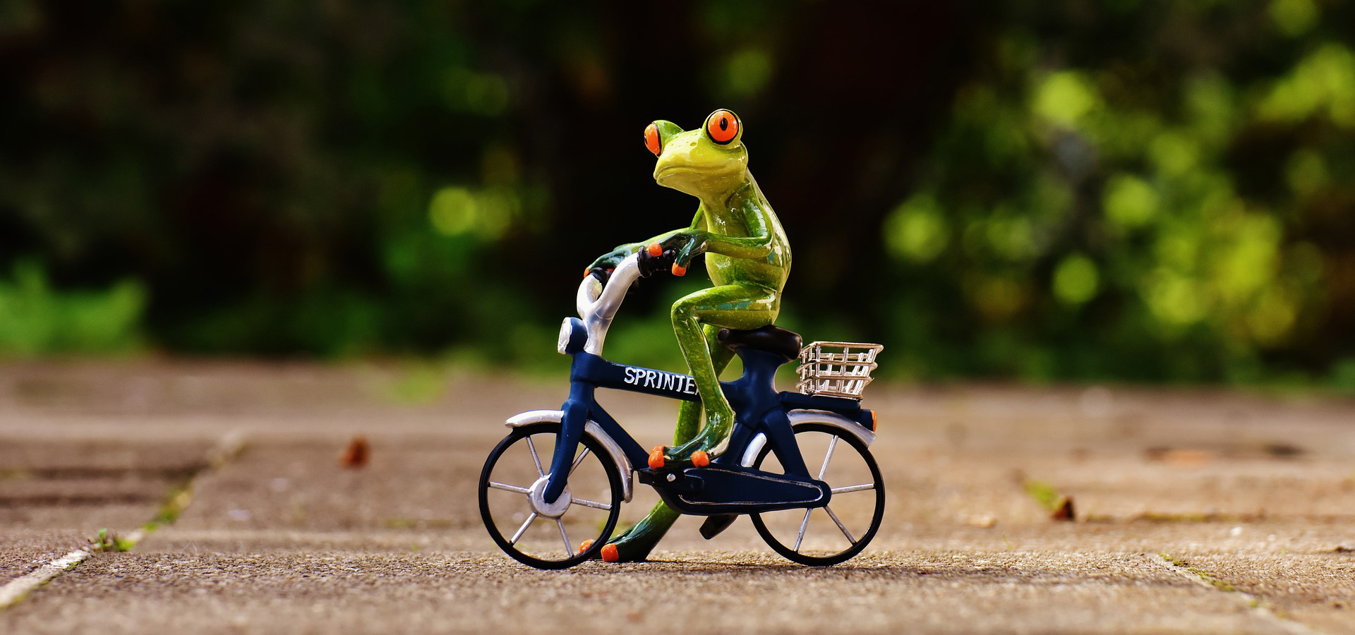 Bootstrap is the Most Popular HTML, CSS, and JS Framework